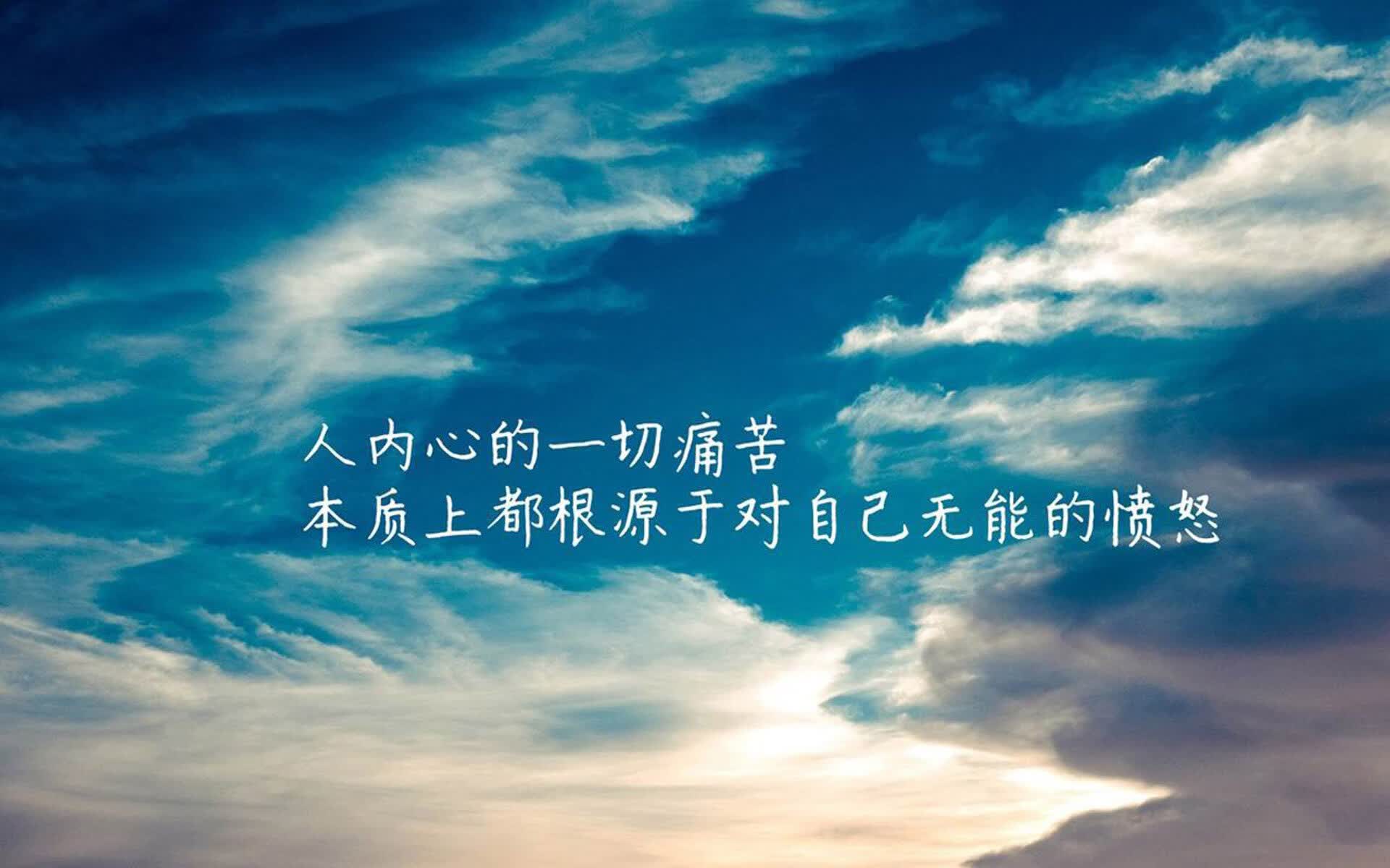 世界举重裁判评分系统使用手册更新与培训计划，世界举重锦标赛2021